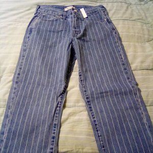 The Perfect Vintage Crop Jean (Madewell)